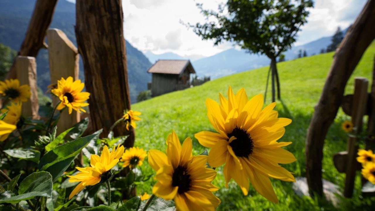 Chalet Schroeckgut Bad Hofgastein Kültér fotó